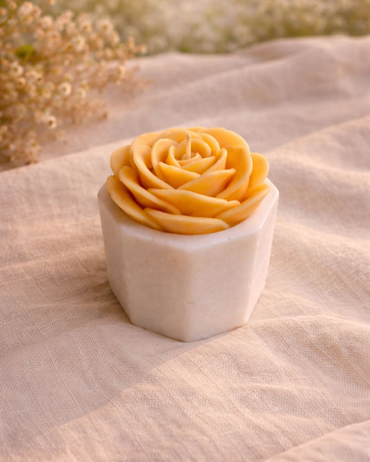 Yellow Rose Candle & Hexagonal Tealight Holder Set